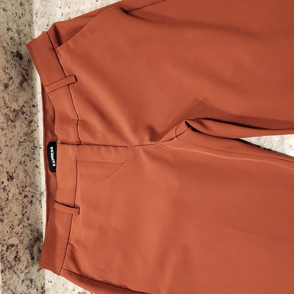 Express Women's Terracotta Trousers